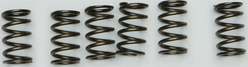 EBC Clutch Spring Set - Image 24