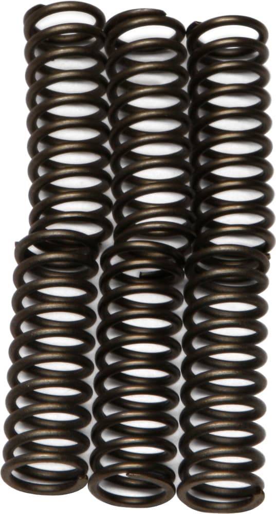 EBC Clutch Spring Set - Image 99