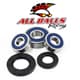 All Balls Front Wheel Bearing Kit Replacement - Image 224