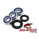 All Balls Front Wheel Bearing Kit Replacement - Image 234