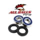 All Balls Front Wheel Bearing Kit Replacement - Image 235
