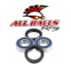 All Balls Front Wheel Bearing Kit Replacement - Image 240