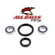 All Balls Front Wheel Bearing Kit Replacement - Image 250