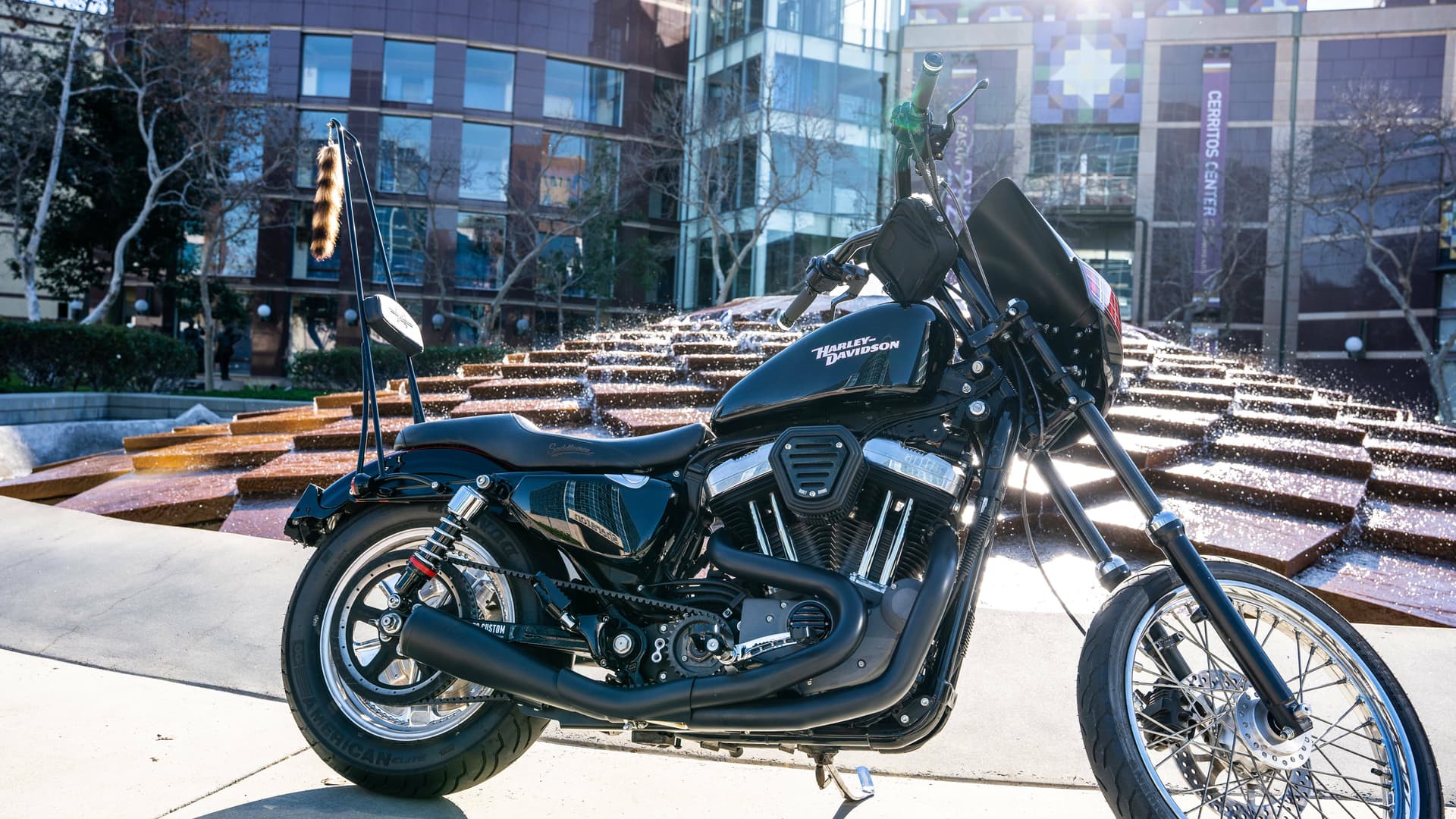 Sissy Bars - Image 12