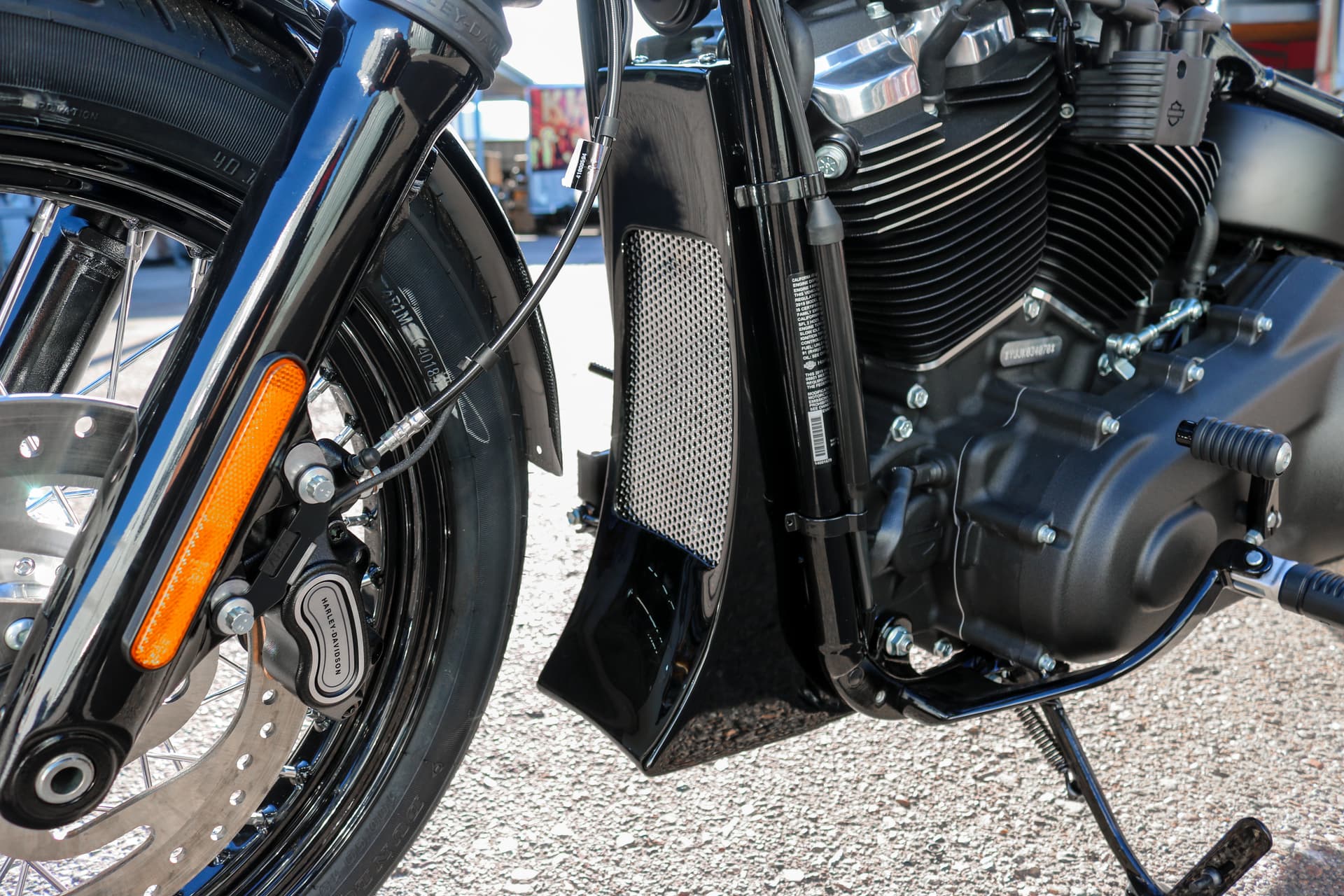 Chin Scoop - Image 5