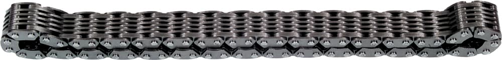 13 Wide Chaincase Chain