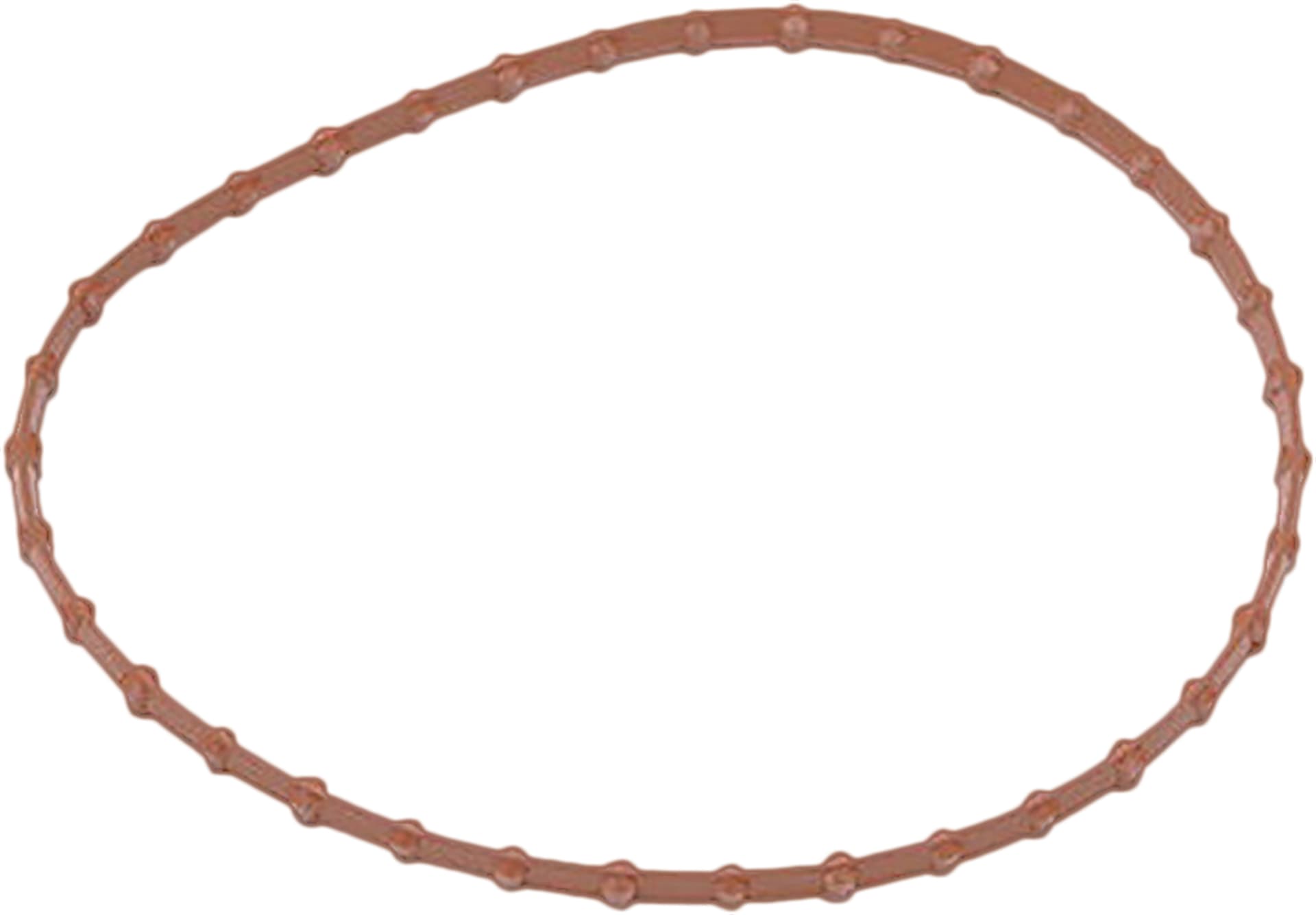 Fuel Pump Door Gasket - Image 4