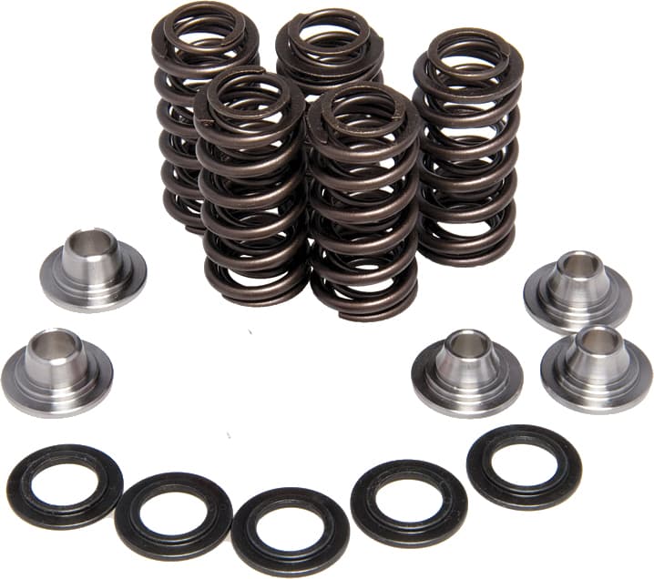 Valve Spring Kit
