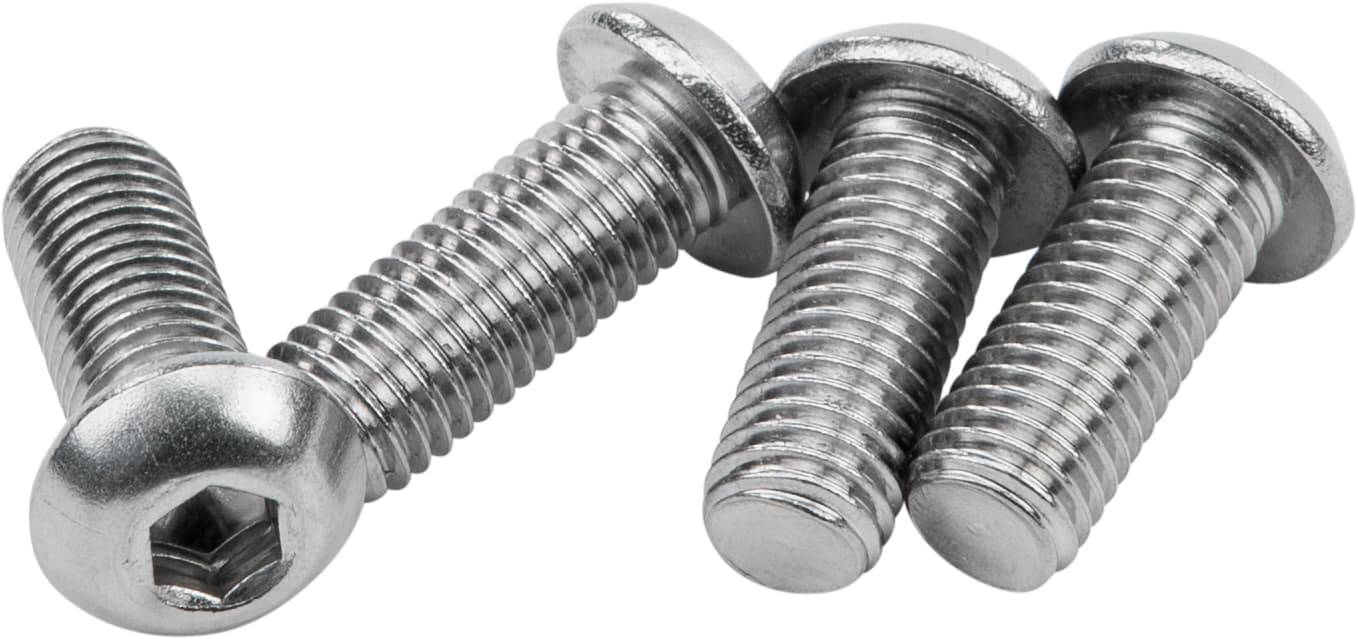 Sissybar 1/4-28 X 5/8 Stainless Hardware