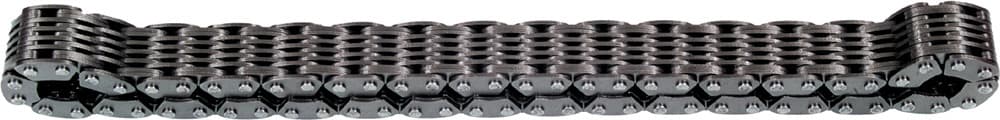 13 Wide Chaincase Chain