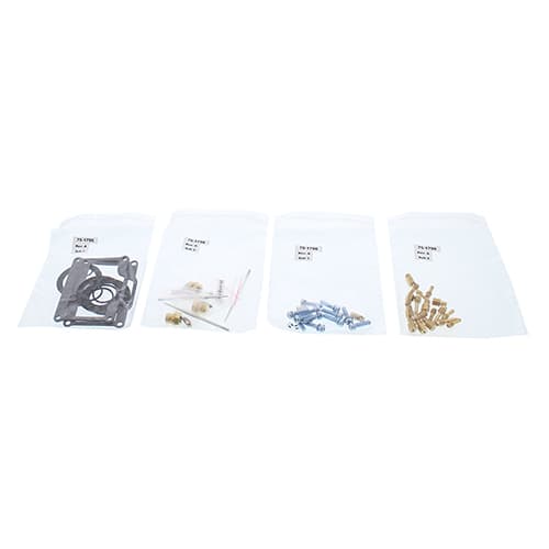 Carburetor Repair Kit - Image 19